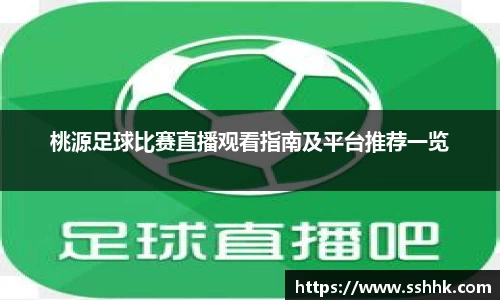 桃源足球比赛直播观看指南及平台推荐一览